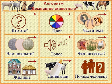 dom_zhivotnye.jpg