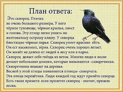 image_0.jpg