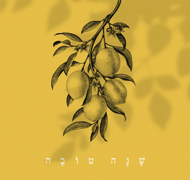 studiogalitkoren_shanatova.jpg