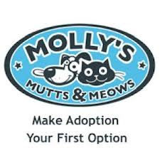 Molly's Mutts & Meows