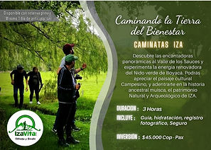 flyer caminata.jpeg