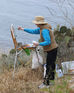 Plein-Aire Painting