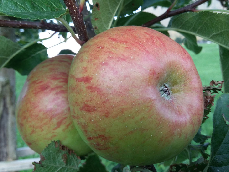 20210904_191714 - Kopie.jpg