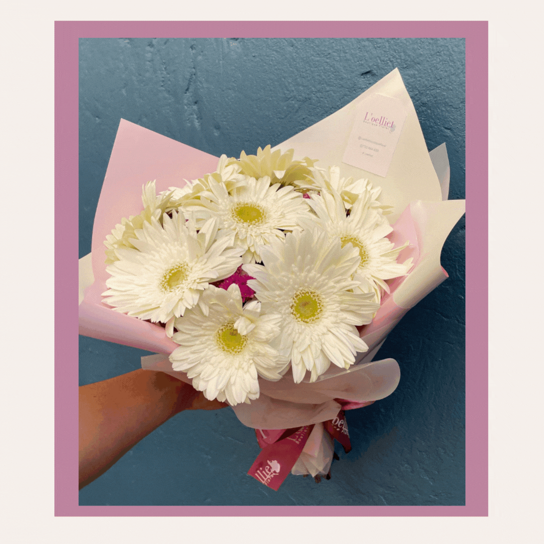 Bouquet gerberas blancas