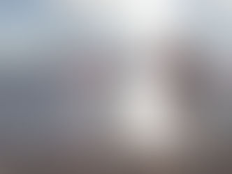 2016 Word of the Year