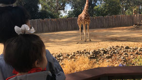 Reviewing Halloween Festivities For Kids In Sacramento