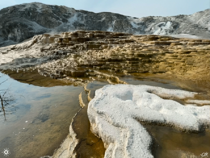 6049_800px.gif