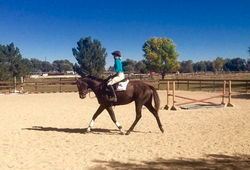 frame-12-10-2015-12-09-38