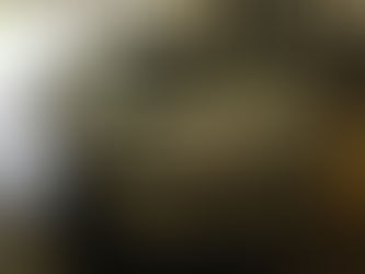 Complete part out 2005 Subaru WRX sedan automatic transmission 54K