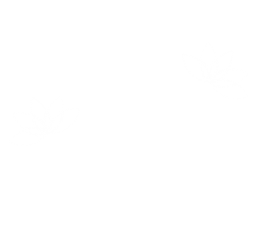 lotus flowers