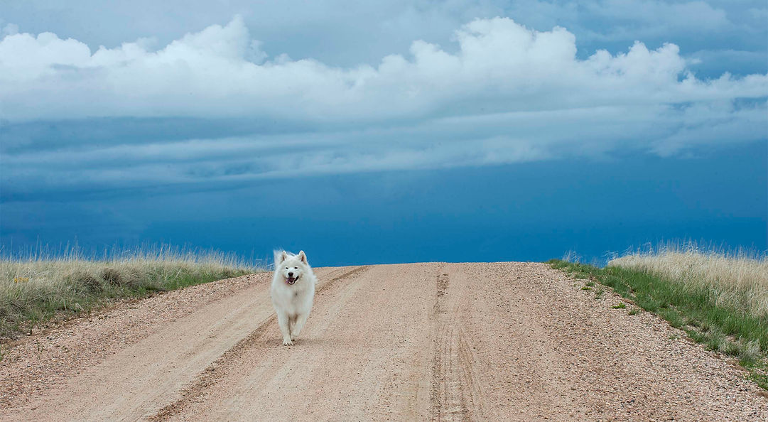 Copy of _DSC3626 4 pg banner use.jpg