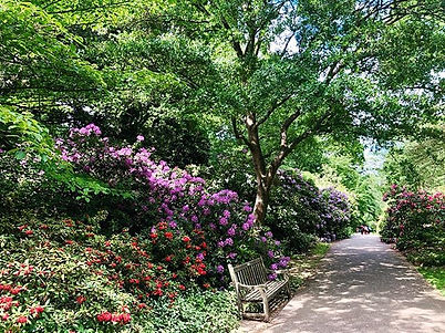 Kew Gardens
