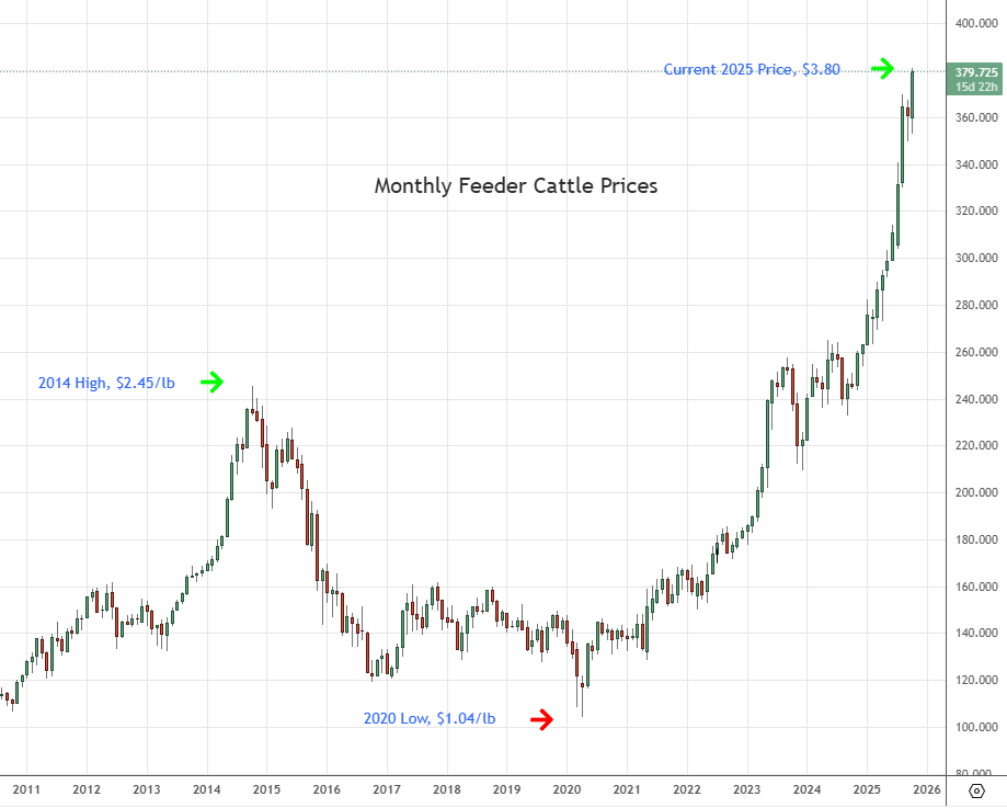 2025 Beef Prices...What Gives?