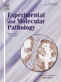 Experimental and Molecular Pathology