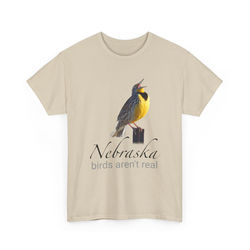 Nebraska Meadowlark