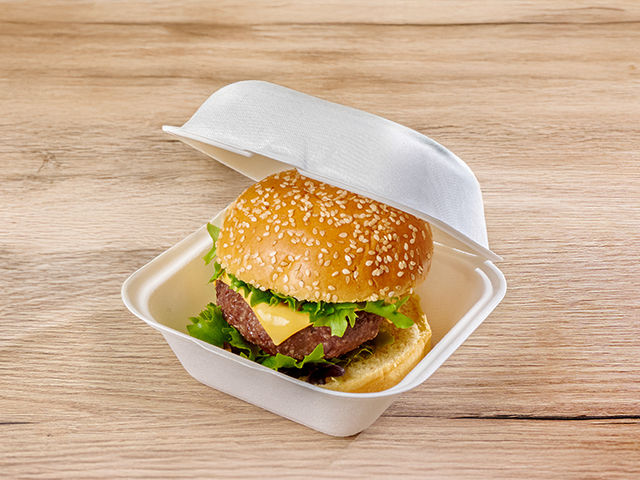 small takeaway burger boxes