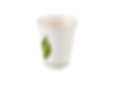 12oz compostable paper cup