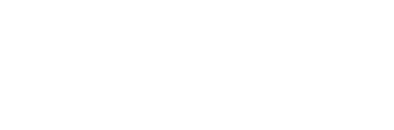 DMK LOGO-white-medium.png