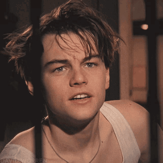 leonardo-dicaprio-shut-up.gif