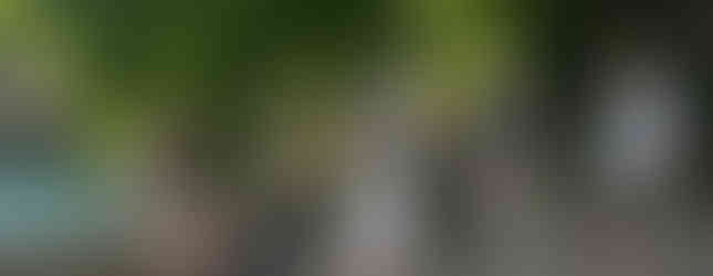 Gruppe Abwicklung unter Baum