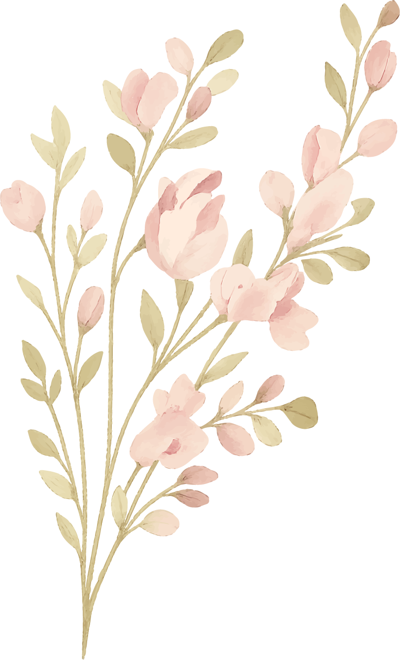 Pink Poppy Flowers