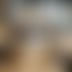 Olijfboom – Veurne