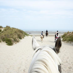 Horseback riding on the beach