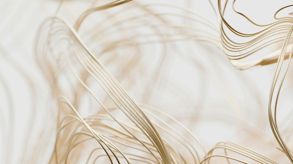 coelho-araujo-lobo-costa