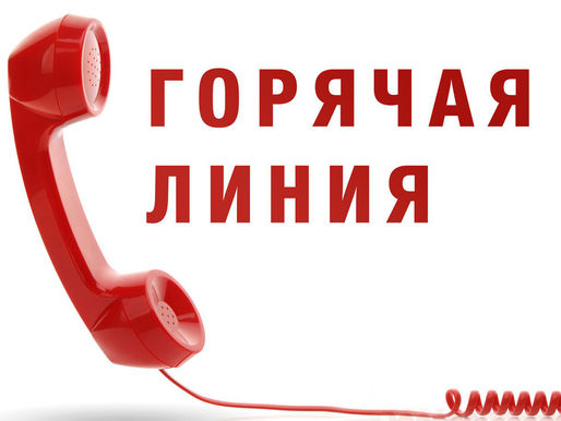 Начала работу семейная горячая линия
