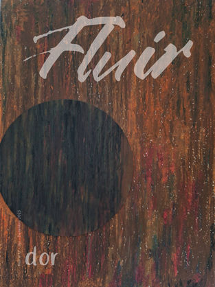 Número 17 da revista FLUIR, com autores portugueses. Poesia, conto, ensaio e entrevista