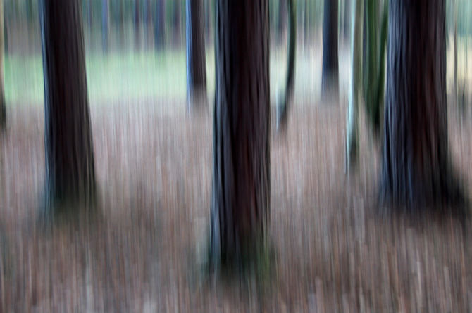 Untitled #9