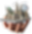 Gemini_Generated_Image_t1ogbit1ogbit1og.png