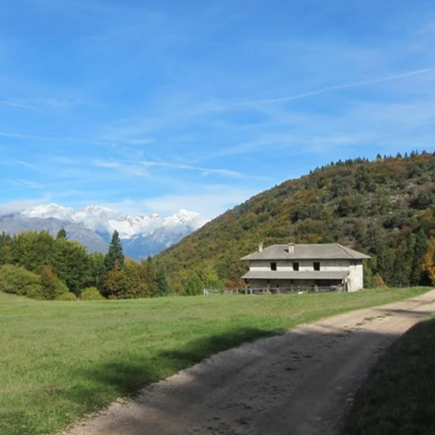 Lundo, prati, malga, alberi