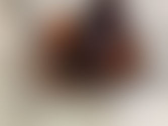 Ρετσέλι με ώριμο Σύκο  