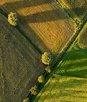 a45ca64be7760dc667bfb2c7f78e9c27 1.png