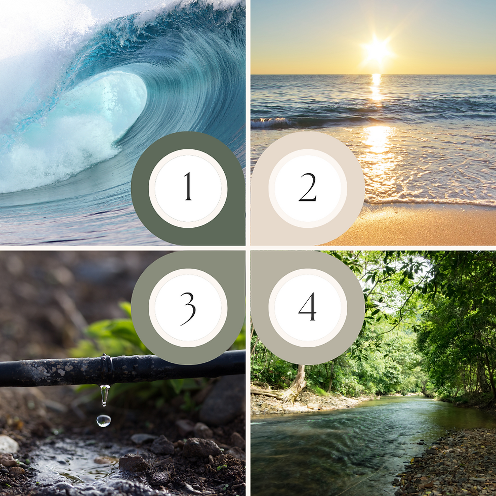 Four pictures for the prompt "how did the water flow into your heart?" top left is a large rolling wave, top right shows the ocean softly washing onto the shore, bottom left is a small drip line watering a plant, and bottom right is a small stream flowing downhill