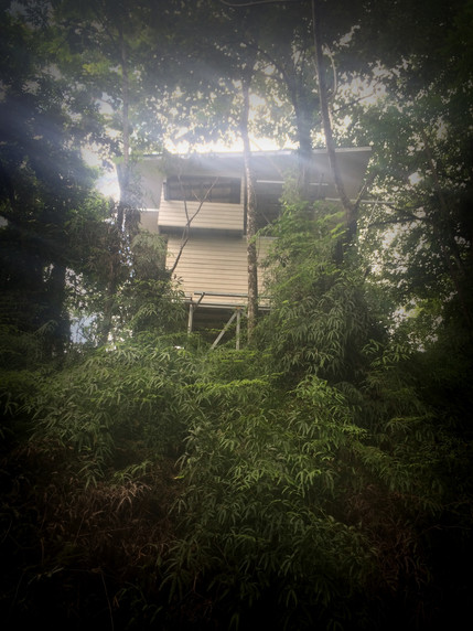 untitled image