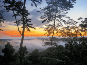 View from The Fusion Home Sky lounge - Discover Finca Bellavista
