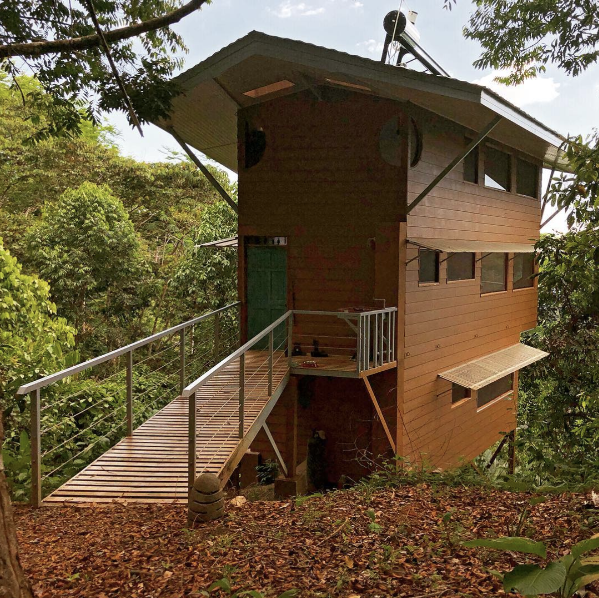 Casa Tamandua