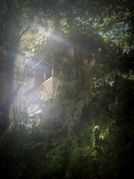 untitled image