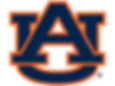 auburn