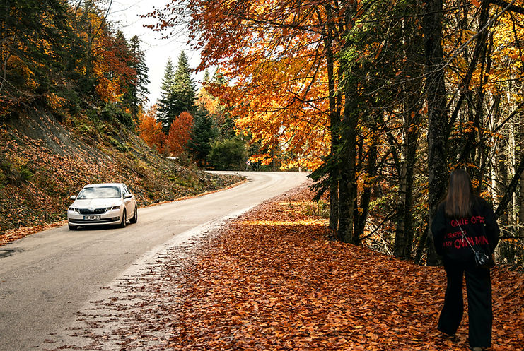 Car driving on a road lined with autumn