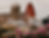 Dahlia Days 2026 - Friday, 9/4