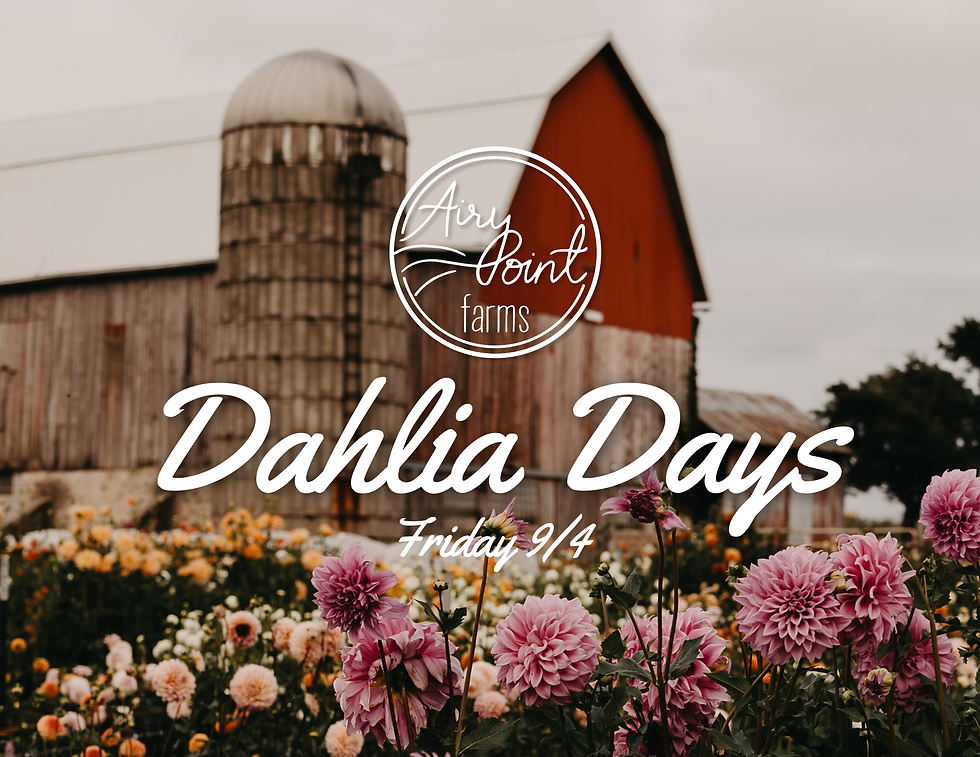 Dahlia Days 2026 - Friday, 9/4