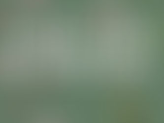 NEW BOOK Drops 10/31