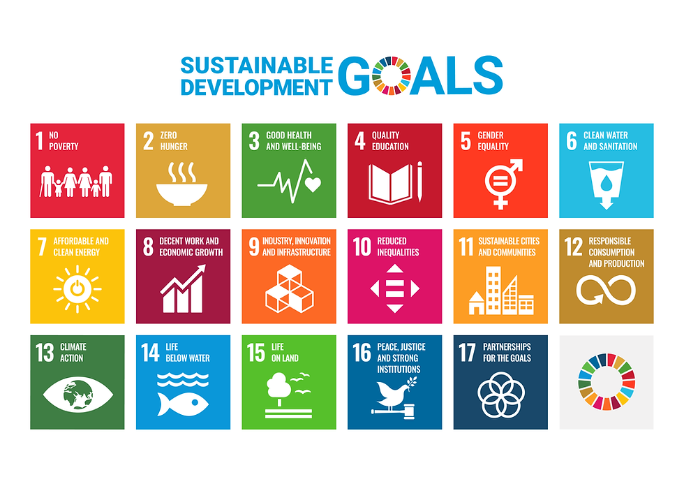E_SDG_poster_WEB.png