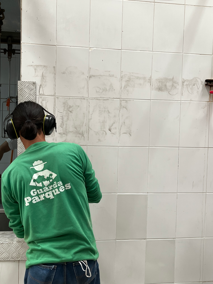 Planta puro pollo Barranquilla- Recubrimiento sobre baldosa y panel aislante con laminado Glasliner