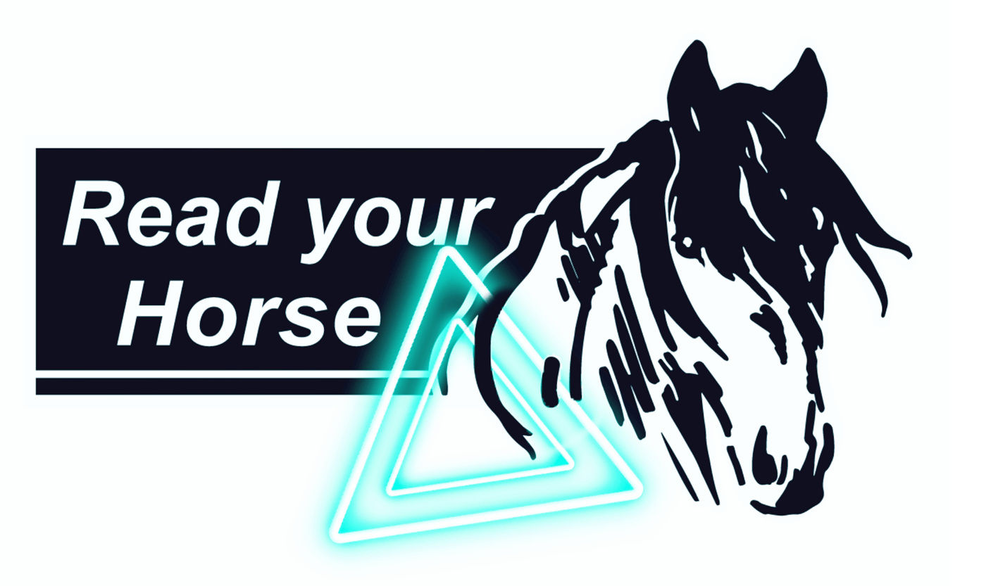 VIDEOMODUL 1 - „Single Modus“