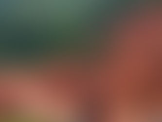 Reconstruction de la falaise de Dschang : des mesures d’encadrement prescrites.