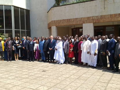 Projet de développement de l'électrification rurale au Cameroun